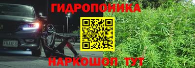 стаф Кимры
