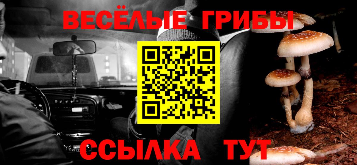 Галлюциногенные грибы прущие грибы Заинск